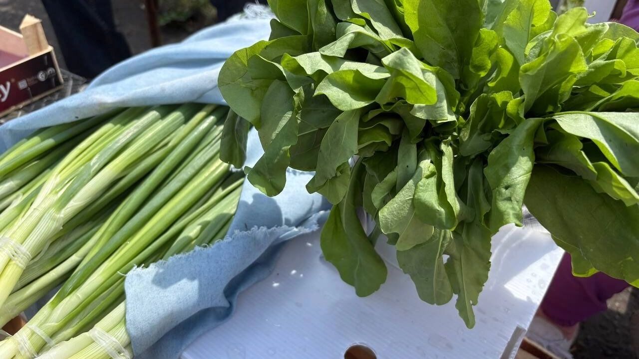 На рынках продается и свежая зелень