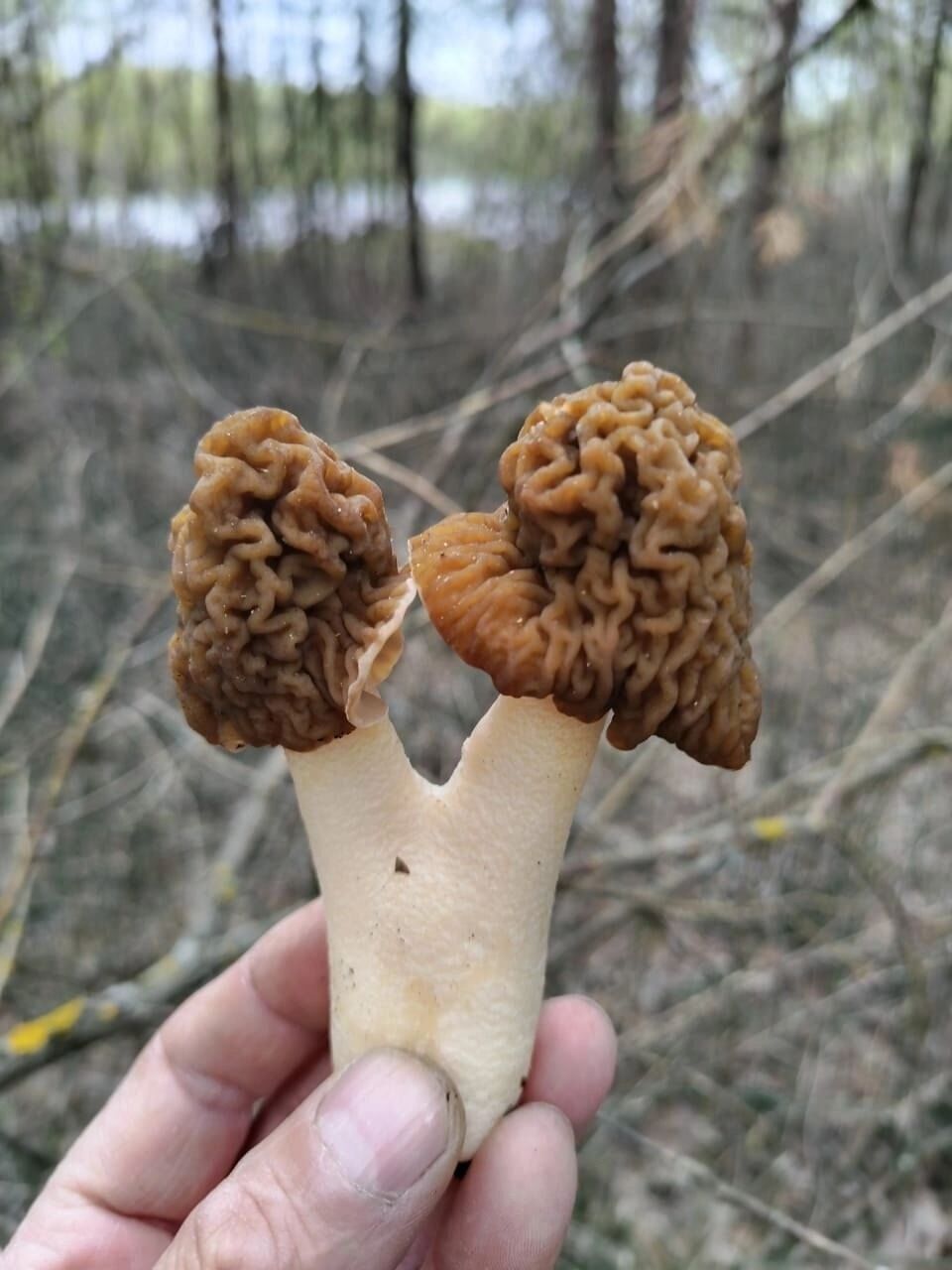 Сормовский район Нижнего Новгорода