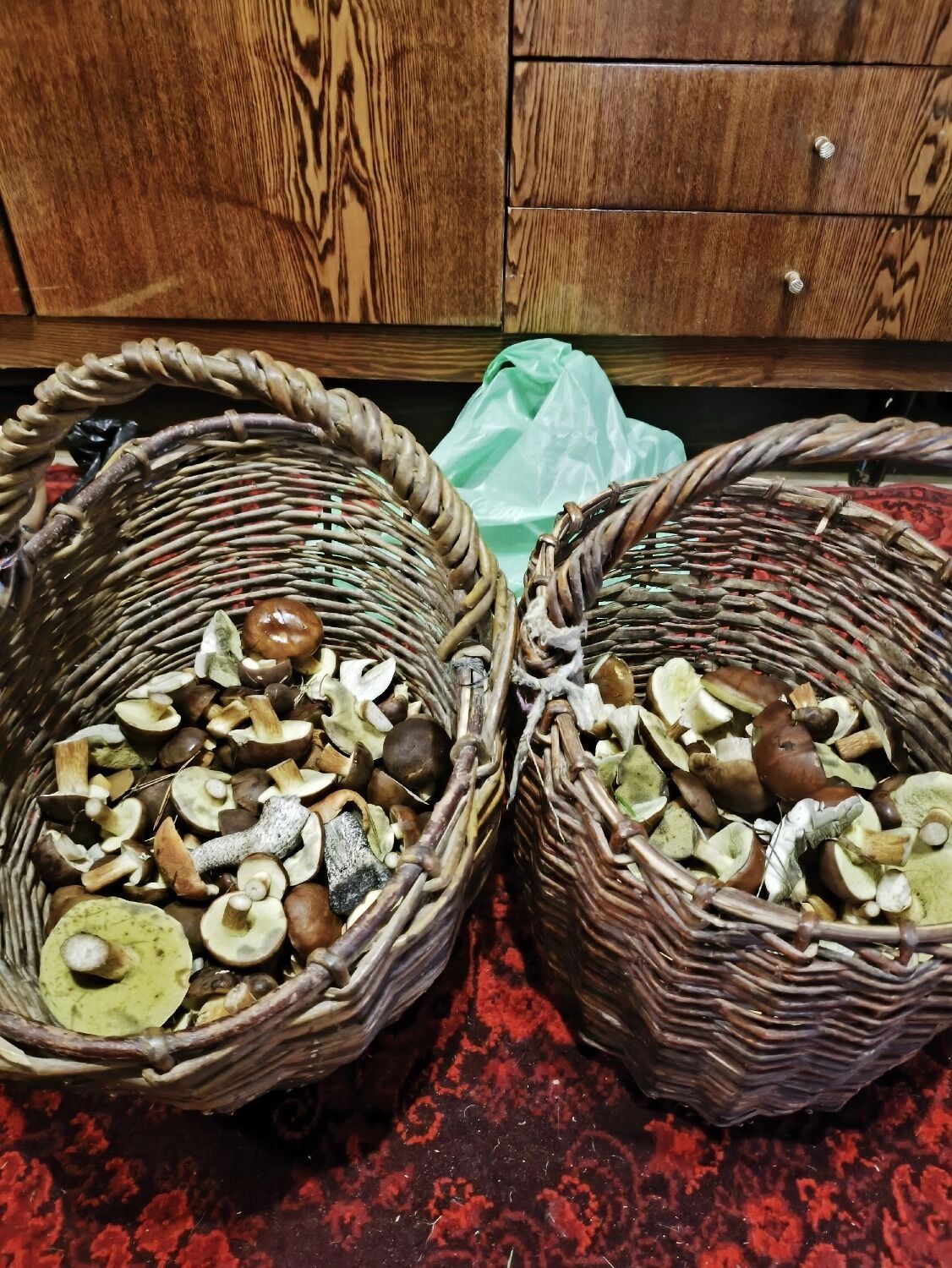 Грибы, которые Александр собрал под Чистым