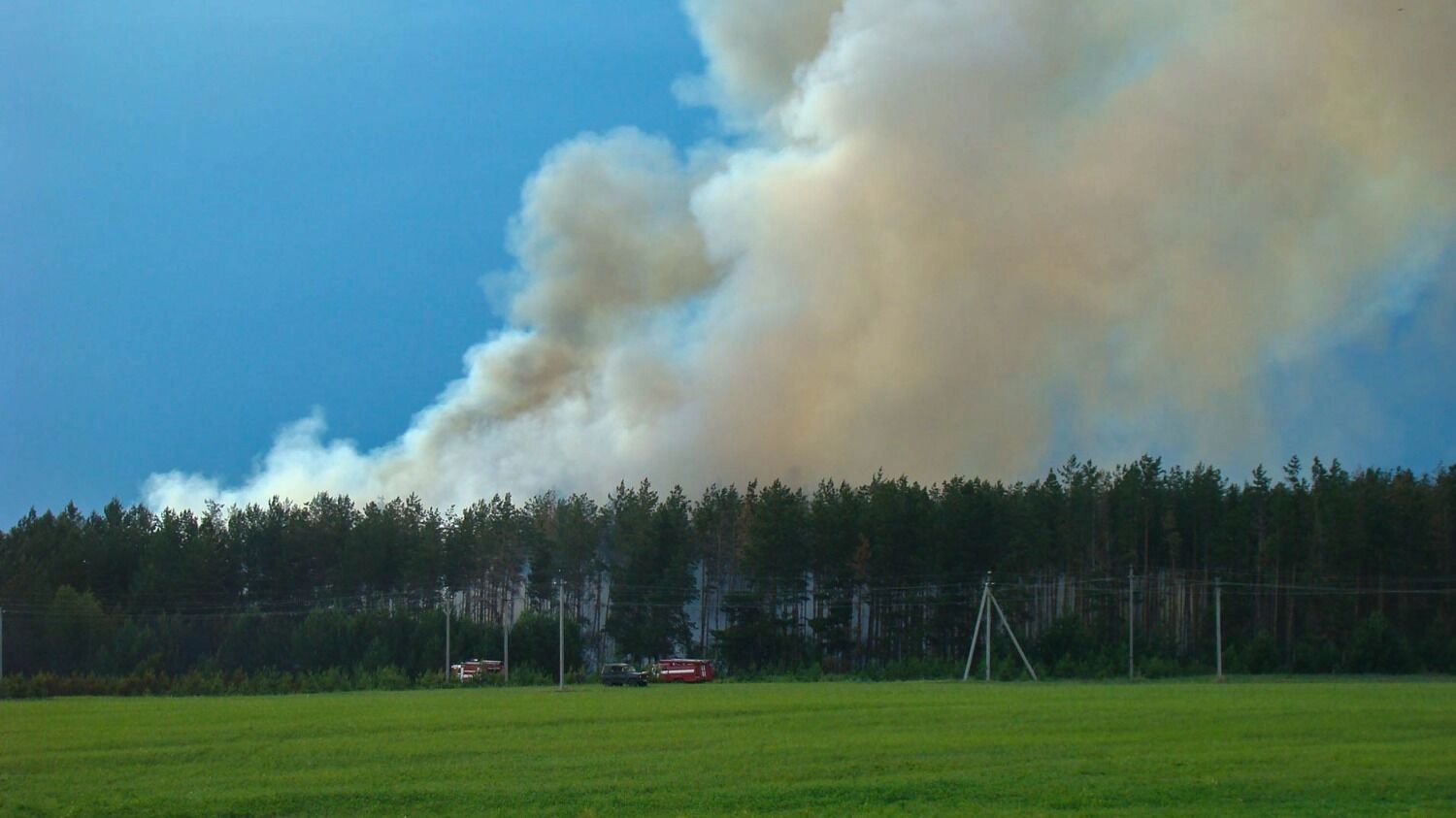 Лесной пожар у деревни Пиголи в 2010 году