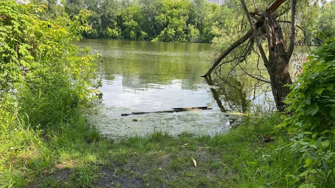 Вдоль воды практически каждые 30-50 метров можно встретить кострища.