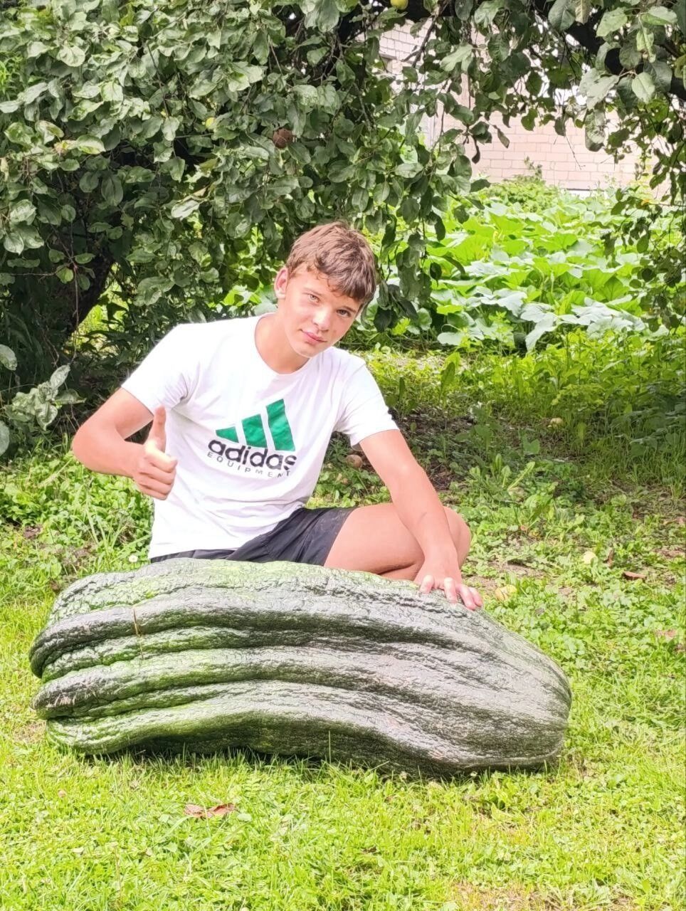 Нижегородец вырастил гигантский кабачок