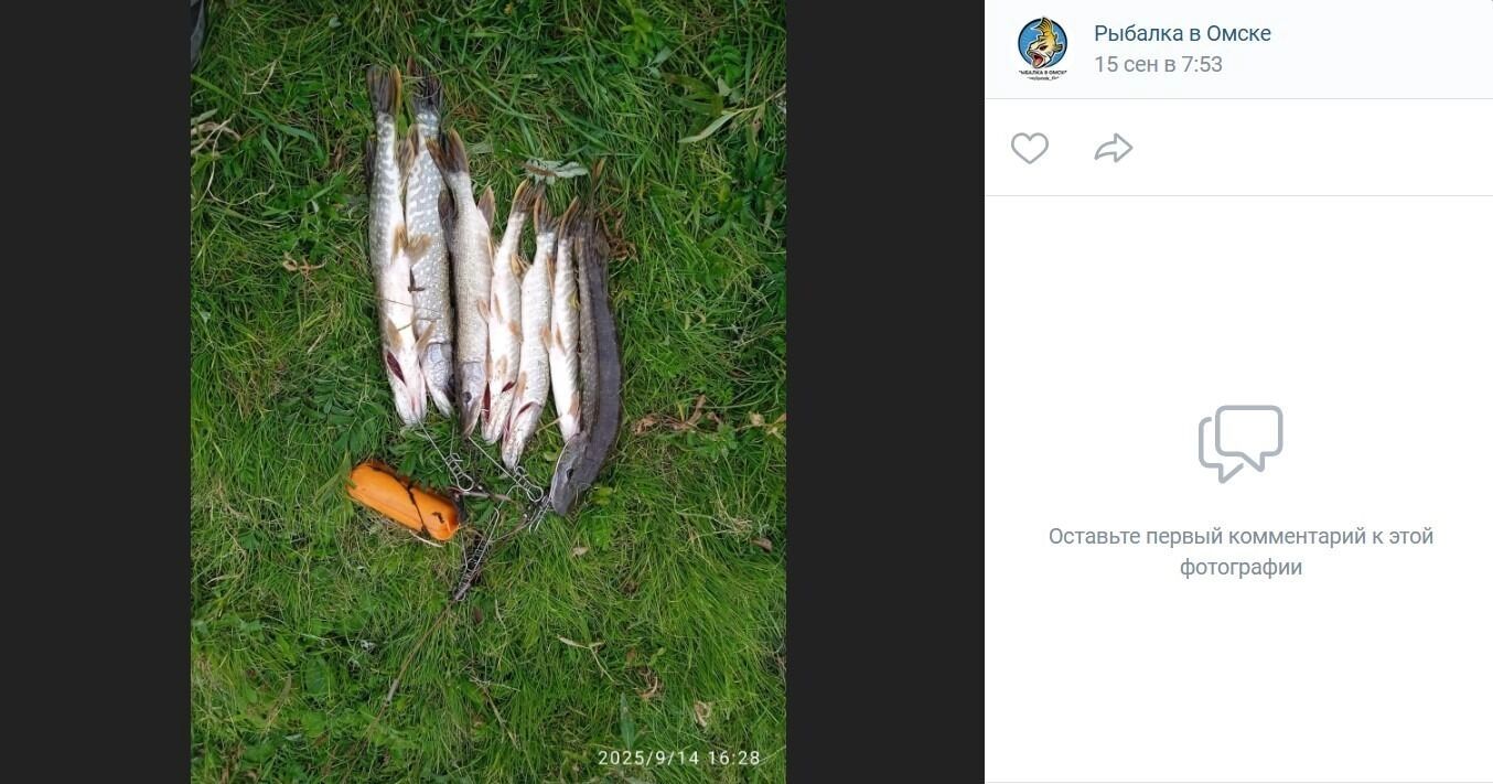 Большие щуки клюют в деревне Согра Горьковского района