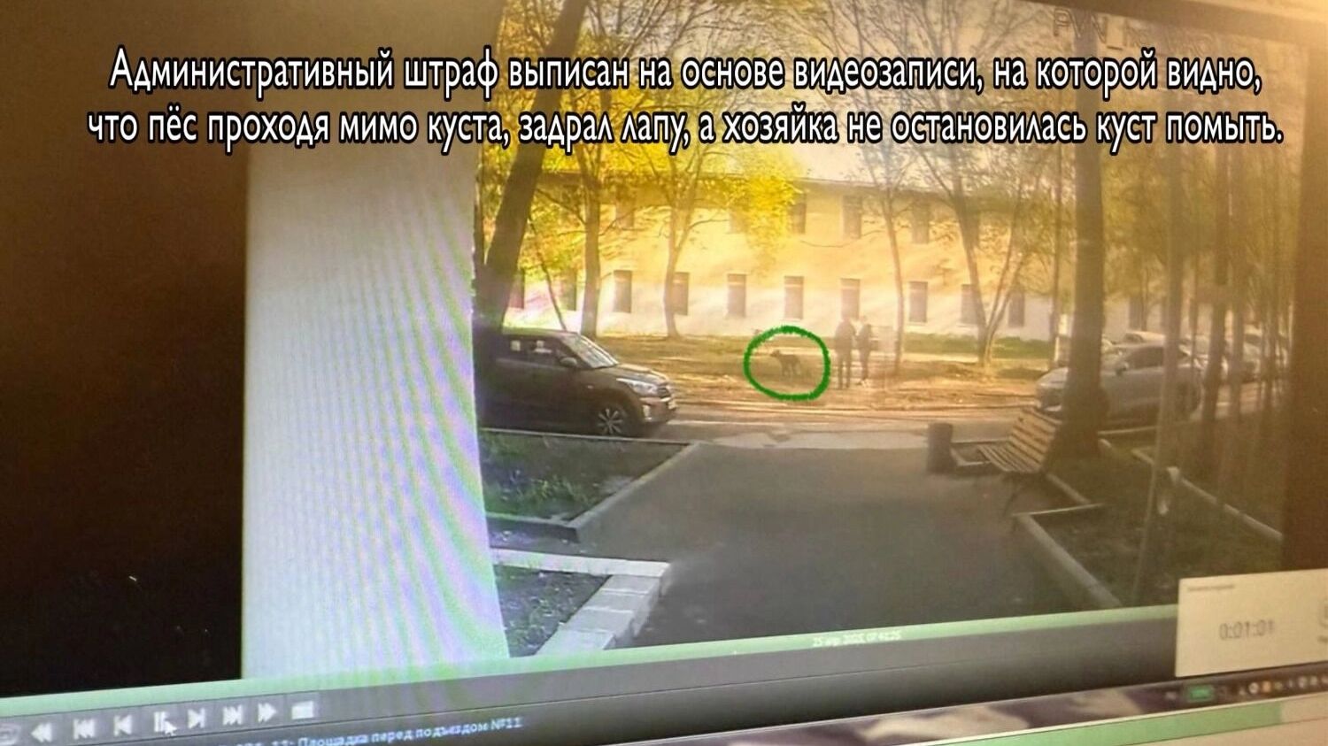 Московские чиновники начали охотиться за фекалиями собак с помощью камер наблюдения
