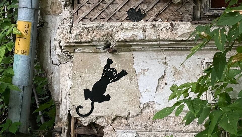 Кошку, которая охотится на птицу мы встретили на улице Студёной.