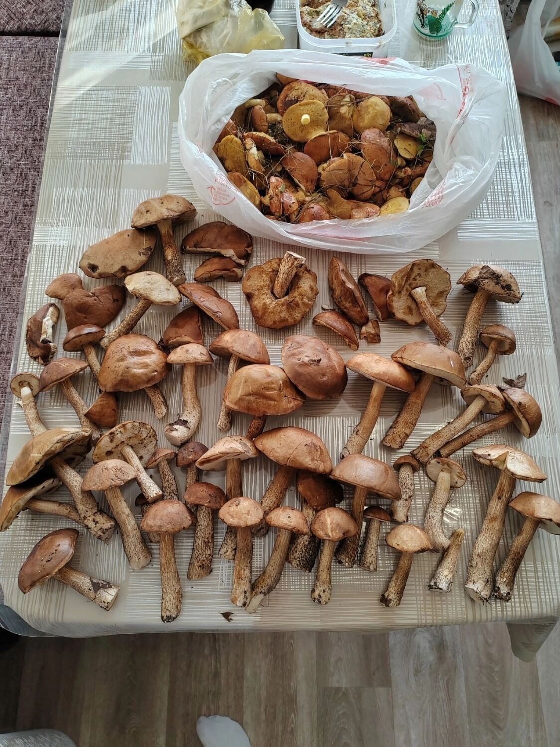 Белгородцы хвастаются грибным «уловом»