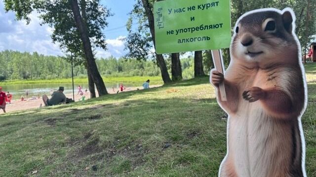 Тантамареска на пляже на красноярском острове Татышев