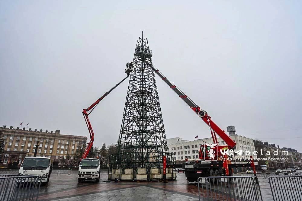 Каркас новогодней ели на&nbsp;Соборной площади Белгорода