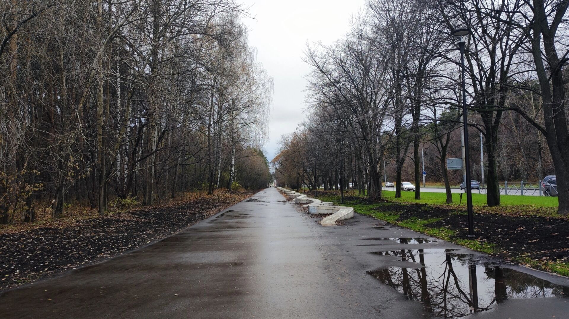 Антициклон принесёт в Прикамье сухую, но прохладную погоду