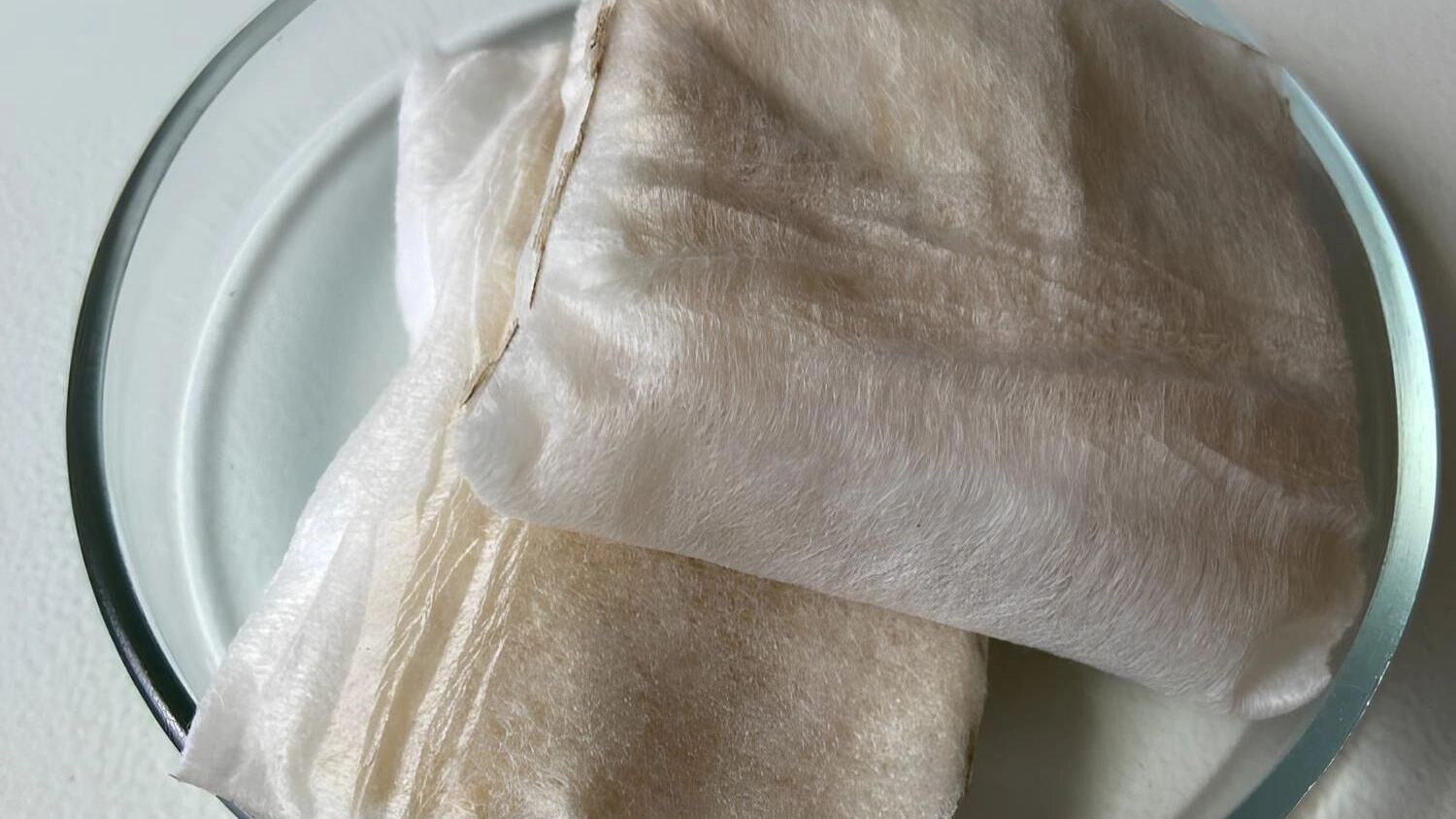 Учёные ВолгГМУ создали уникальные повязки для остановки крови