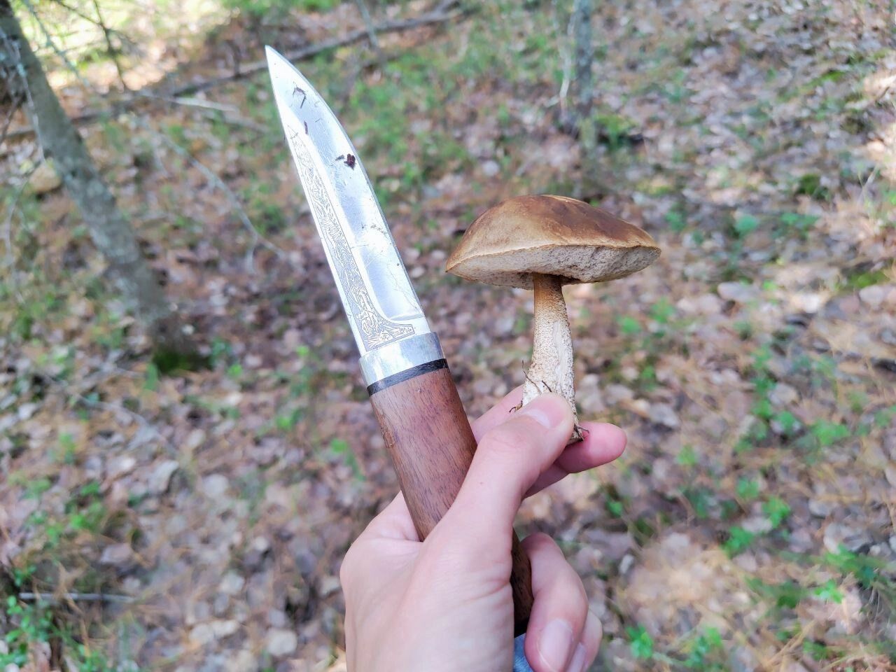 Грибы были, но по остаточному принципу