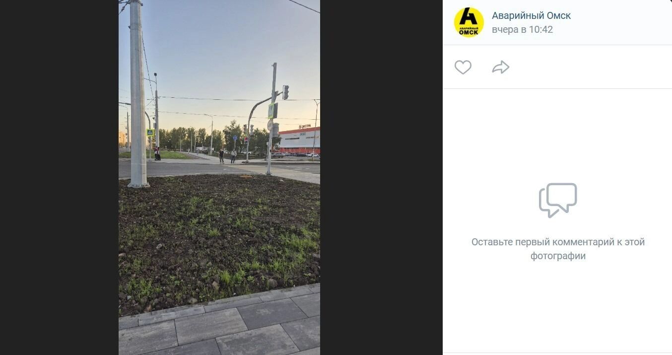 Очень редкий газон на бульваре Архитекторов