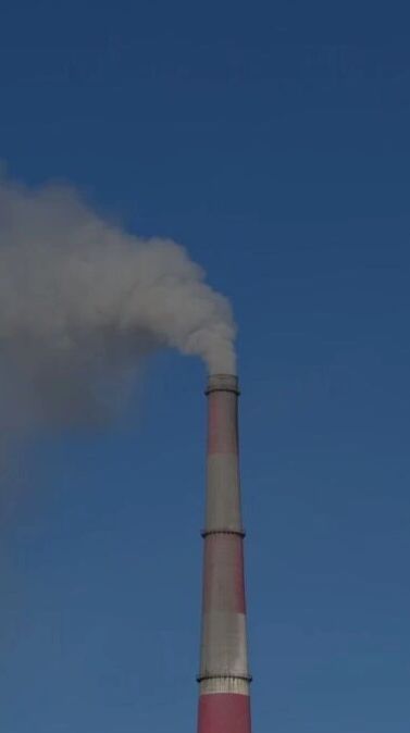 Скриншоты видеозаписи, опубликованной в блоге эколога Владимира Лифантьева