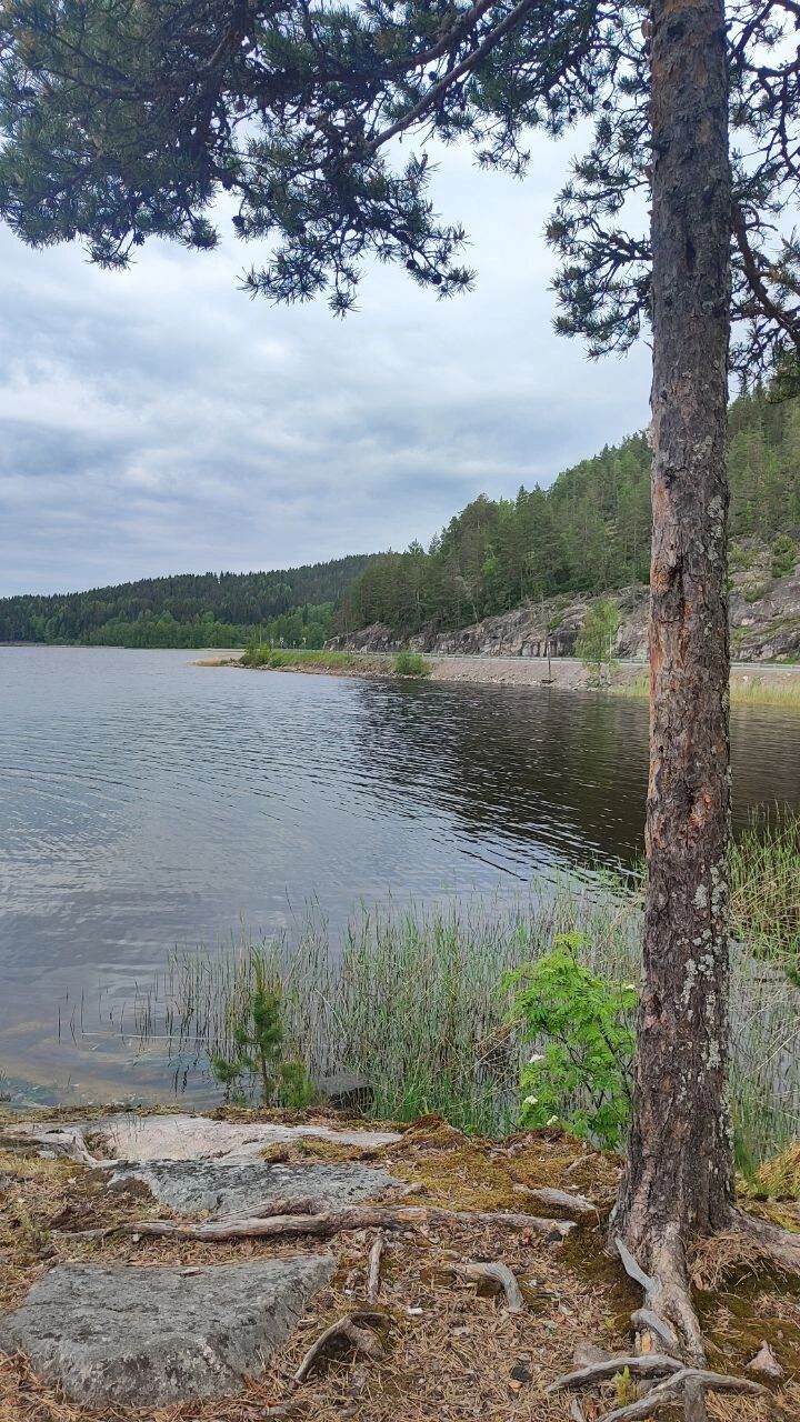 Шхеры выглядят величественно