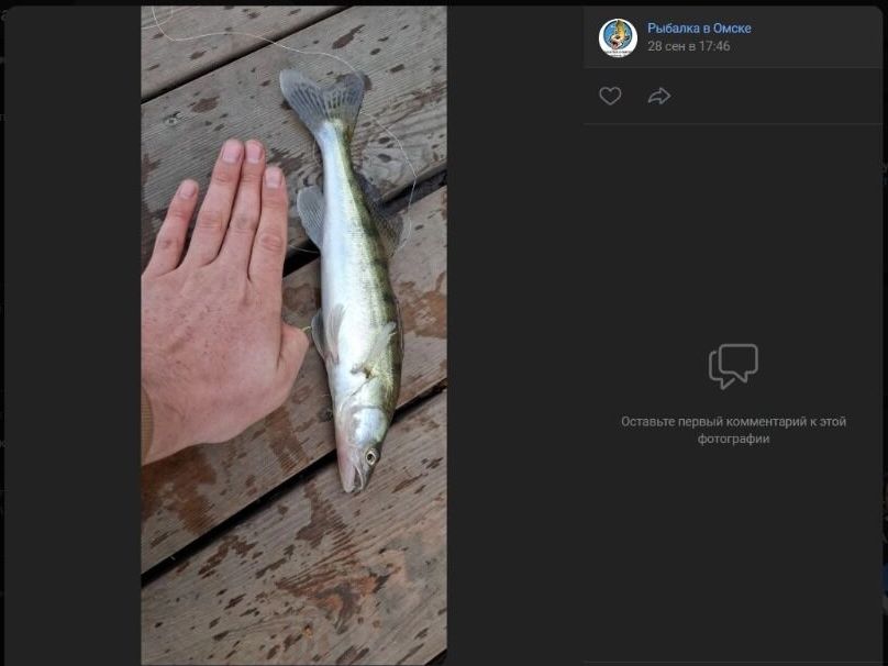 Скриншоты фото улова, пойманного на затоне Зеленого острова в Омске