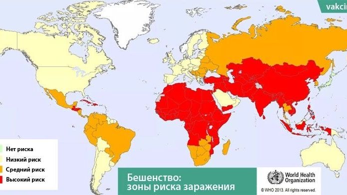 Случаи бешенства фиксируются на всех континентах, кроме Антарктиды. При этом первые места по заболеваемости составляет Азия и Африка.