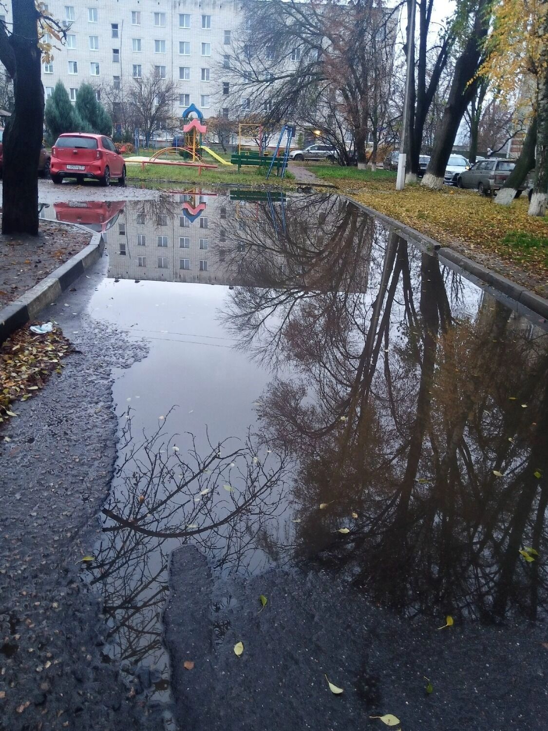 Лужи во&nbsp;дворах Белгорода