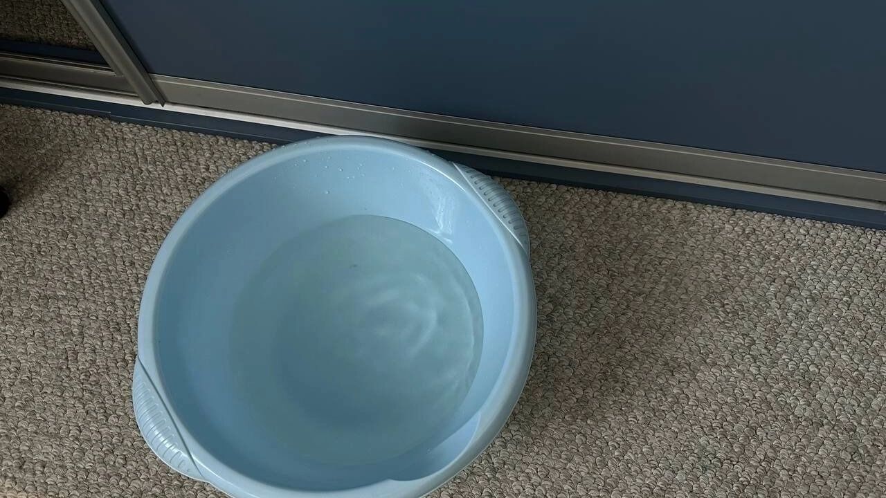 Таз с ледяной водой поможет спастись от жары