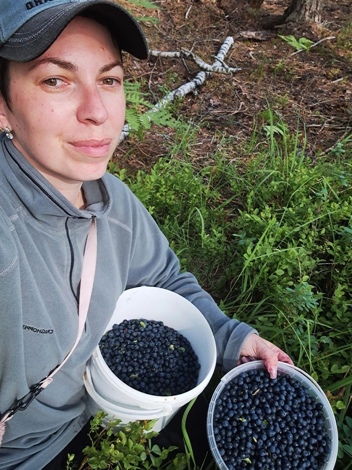 Черника в Володарском округе