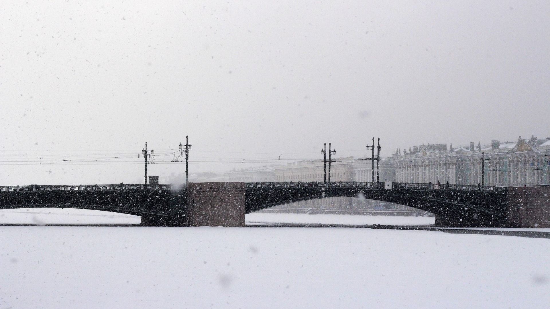Петербург заметает снегом