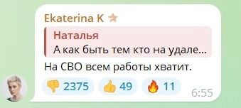 В Барнауле объяснили, кого из россиян чиновники могут называть тараканами