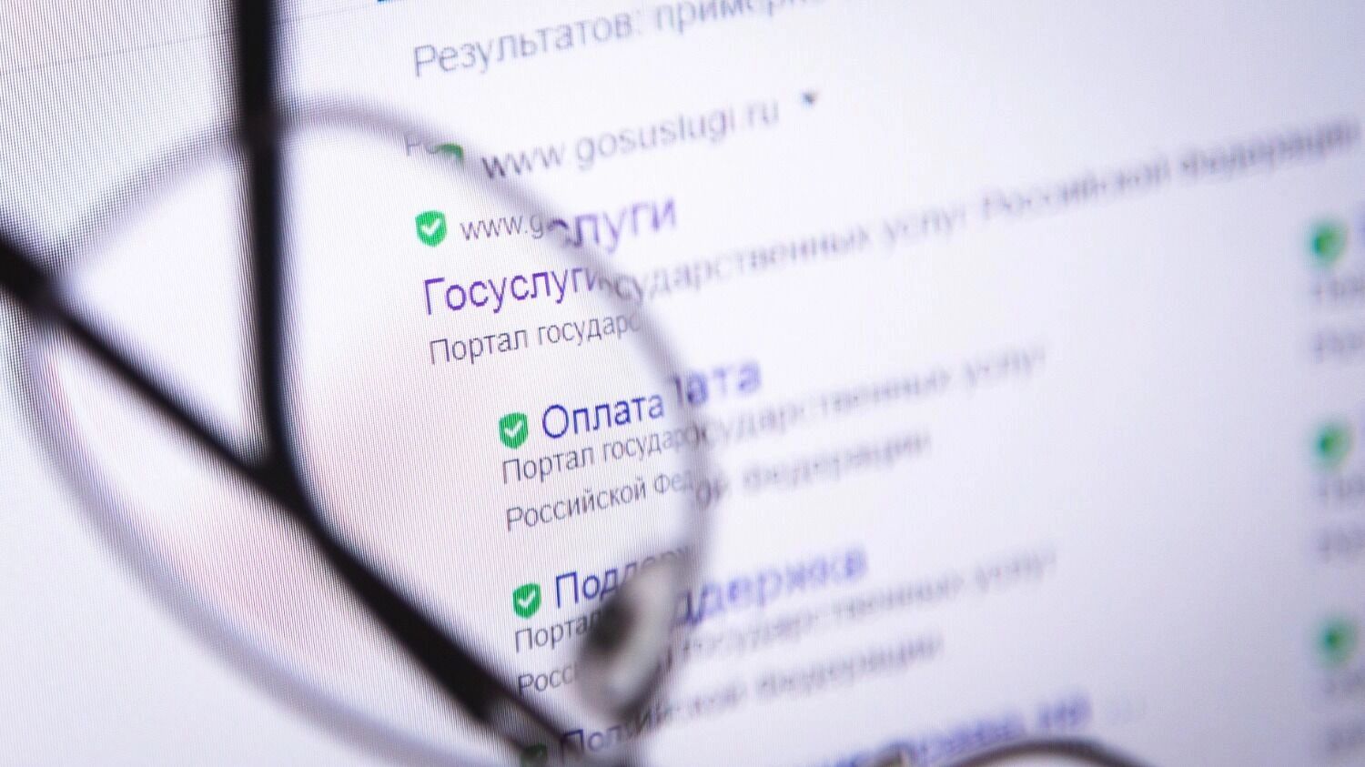 Поисковик с сайтом «Госуслуг»