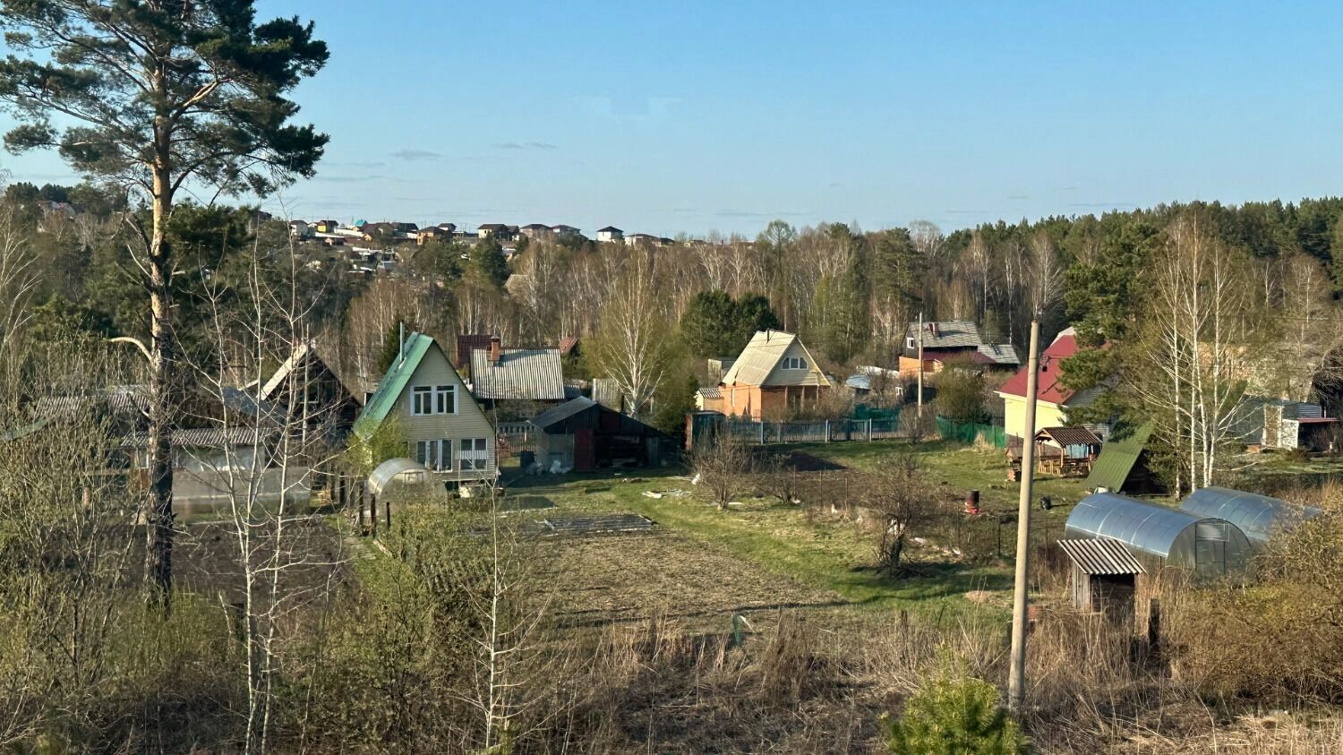 Освоение дачного участка 2025: три года на&nbsp;посадки и&nbsp;уборку, штрафы за&nbsp;заброшенность