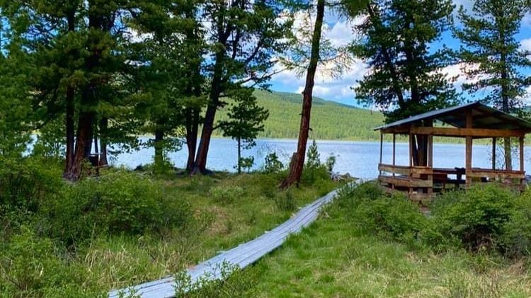 Алтай для всей семьи: 5 бюджетных баз отдыха, где природа и комфорт идут рука об руку!