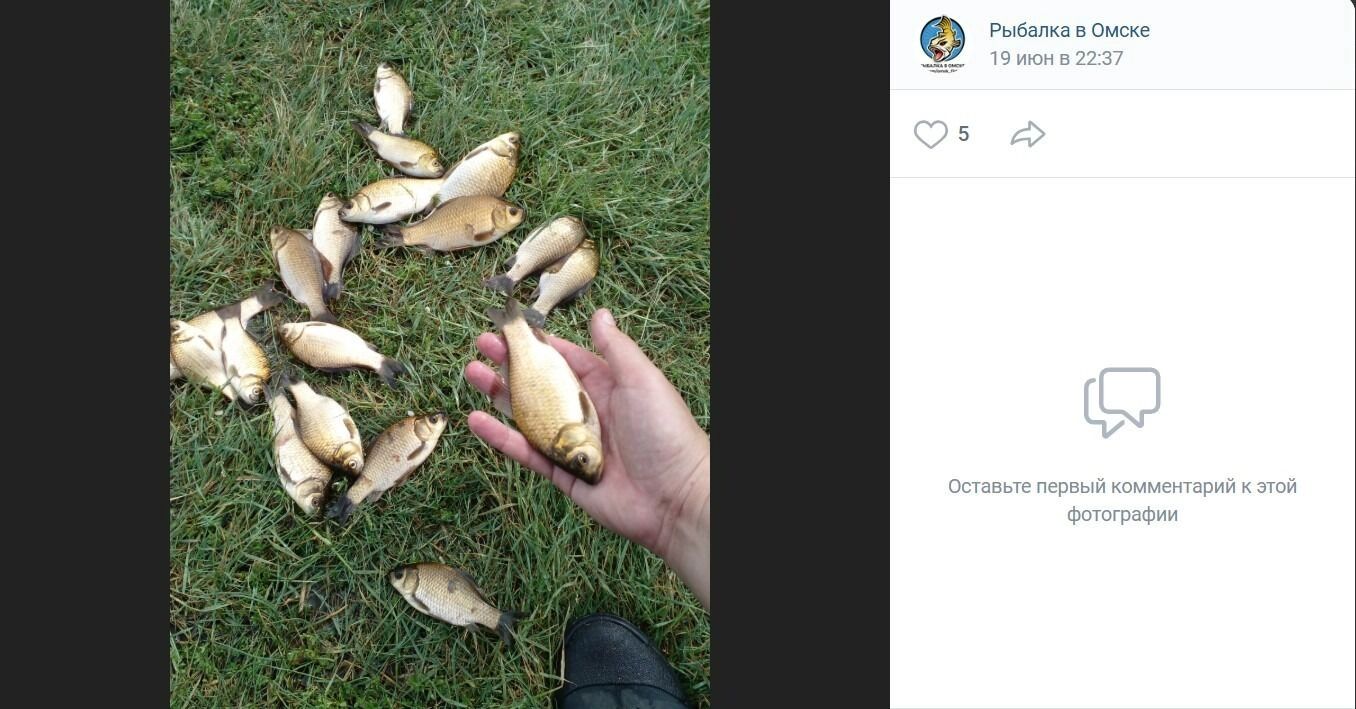 Рыба клюет и в районе Камышловки