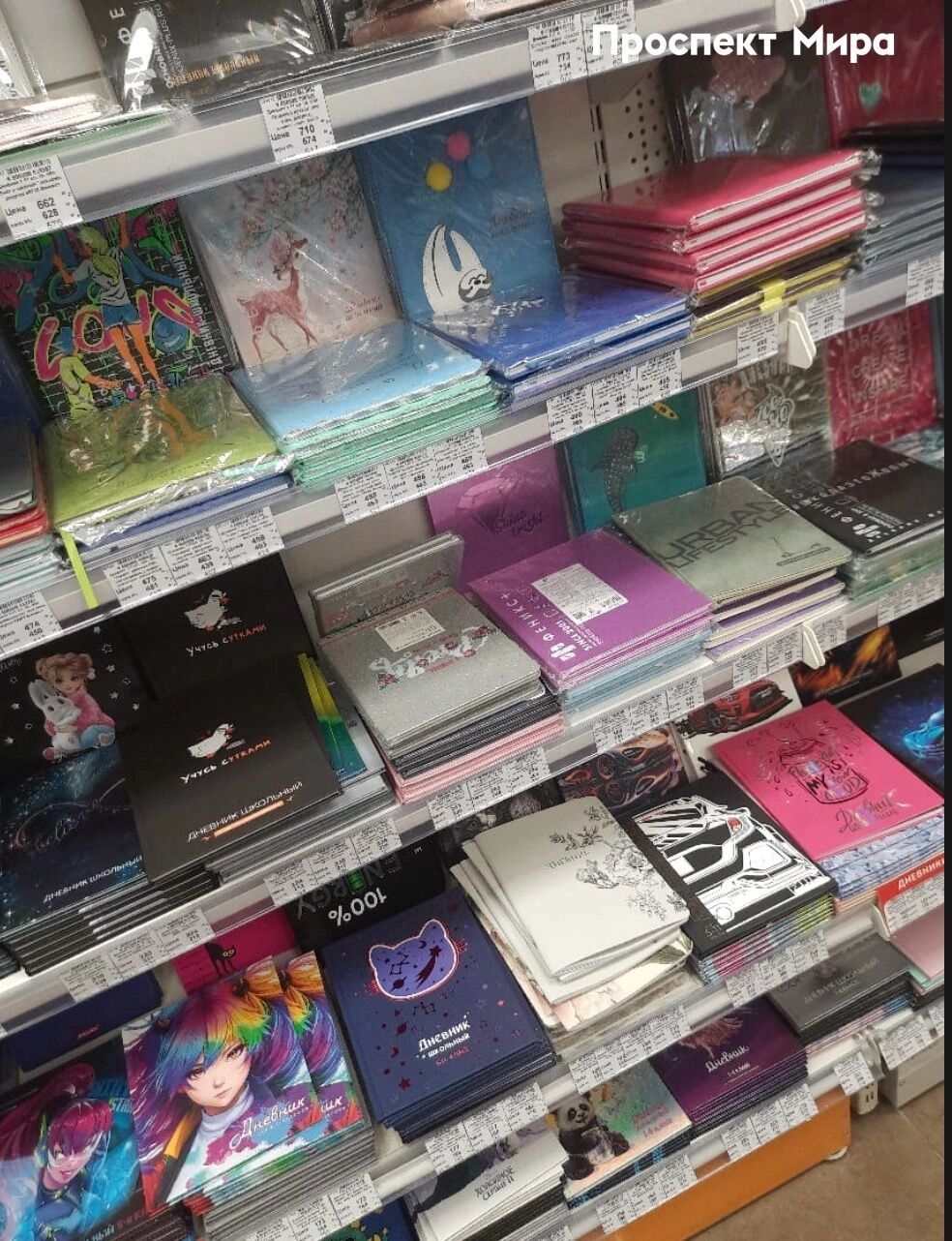 Стоимость дневников в&nbsp;магазине «Пиши, рисуй»