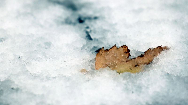 Температурные качели: на этой неделе в Белгород заглянут снег, дождь и солнце