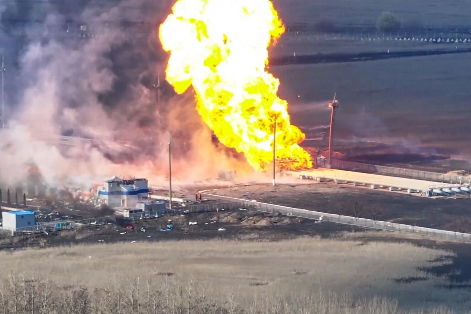 Свиньи против Минсельхоза. Ущерб от СВО в Курской области есть, а денег нет