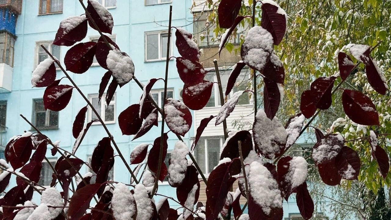 Омск 10 октября завалило снегом
