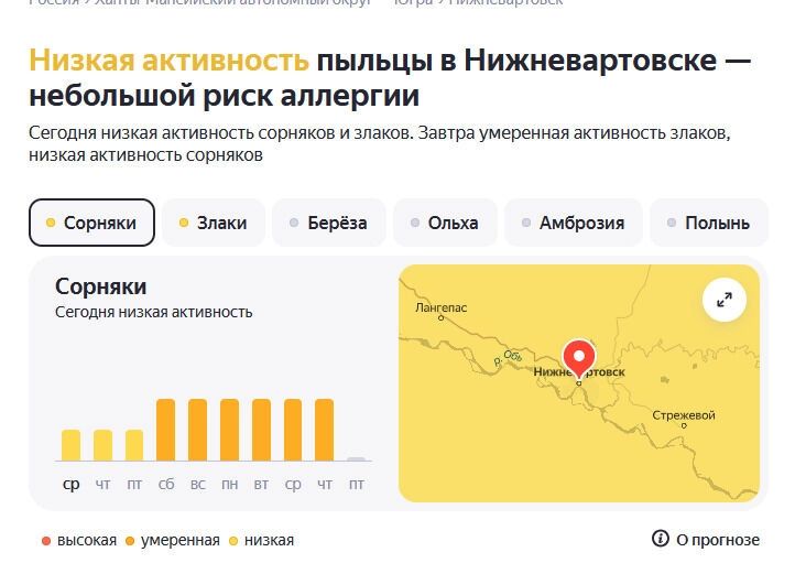 Наиболее активна пыльца сорняков и злаков