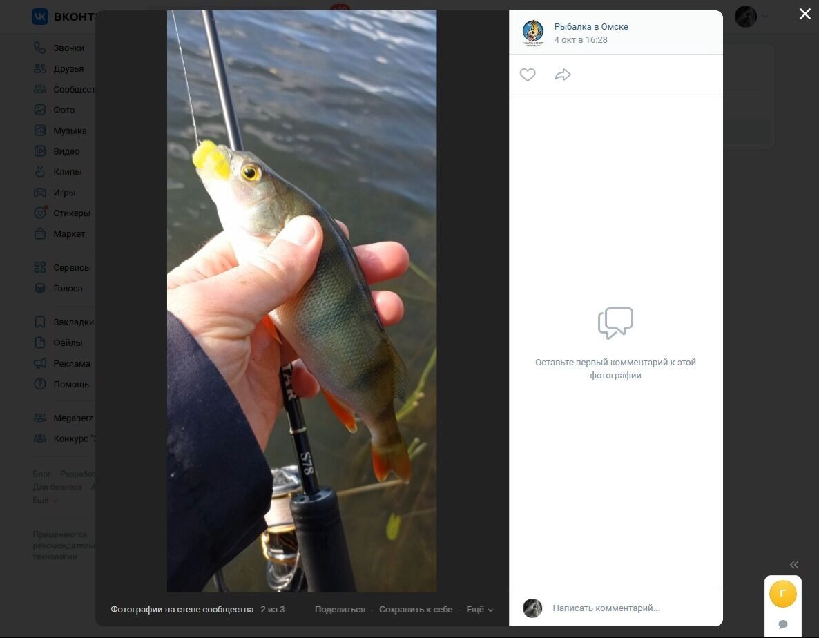 Городской улов