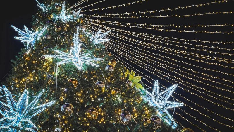 Белгород подготовят к Новому году: какие украшения установят на улицах города?