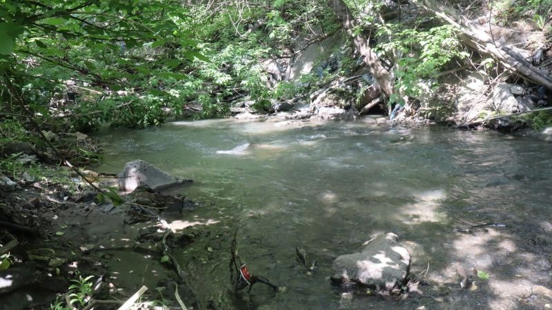 Яковлевский ГОК должен заплатить 110,8 млн за многолетнее загрязнение реки Ворсклы