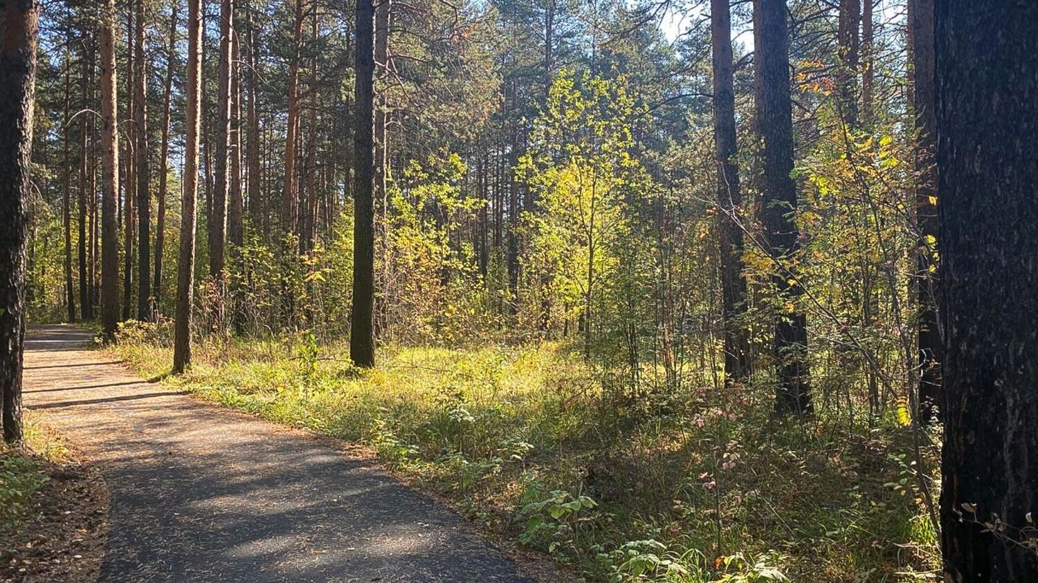 Чаще всего весной встречаются строчки