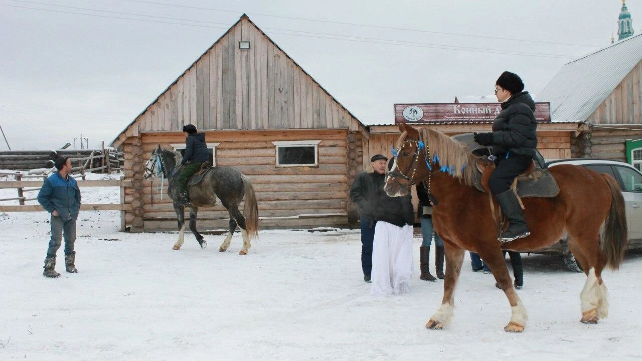 катание на&nbsp;лошадях