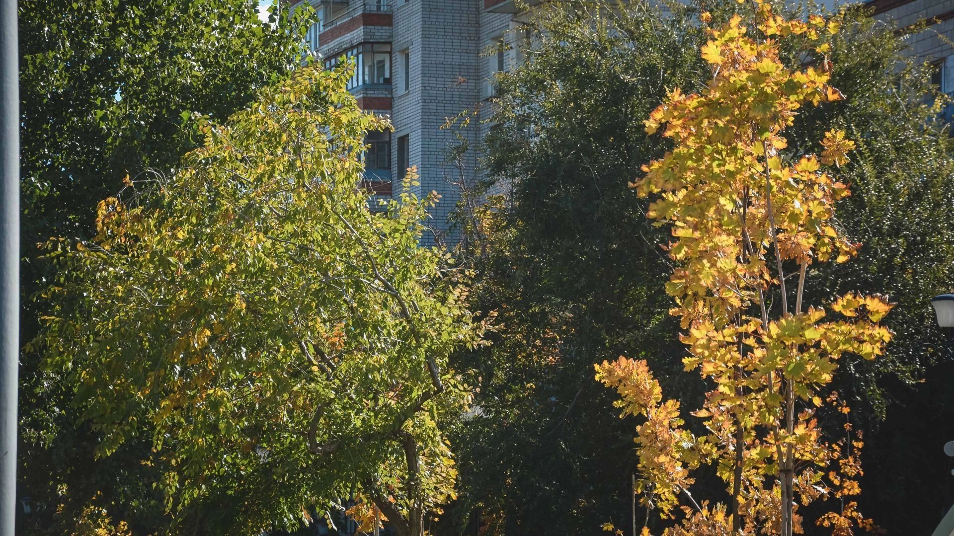 Вызвать Проститутку Город Владивосток Вызвать Проститутку Город Владивосток