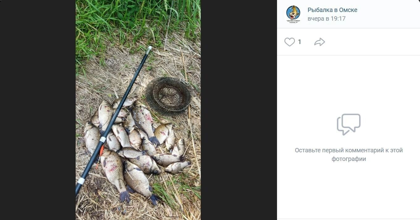 Караси активно клюют в Саргатском районе