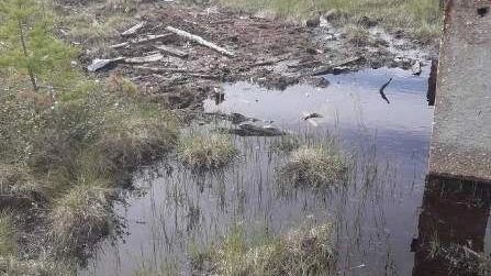 Болото так и не поглотило останки Ми-8