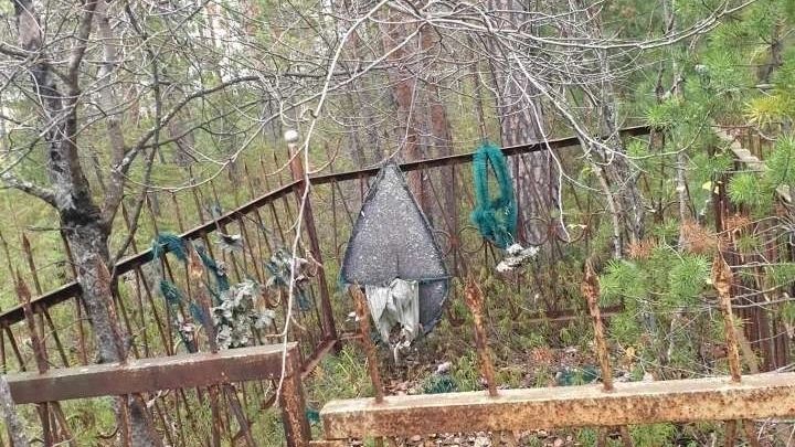 Осталась только ржавая ограда
