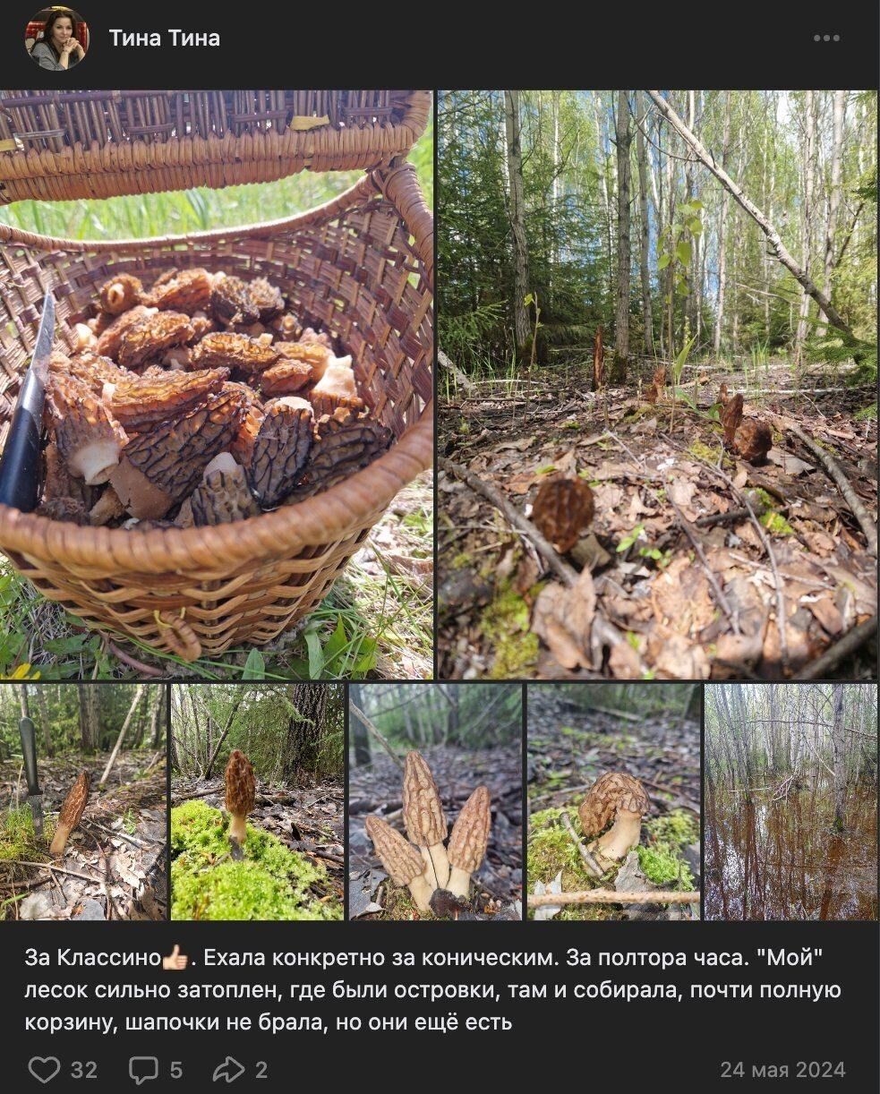 24 мая за Классино