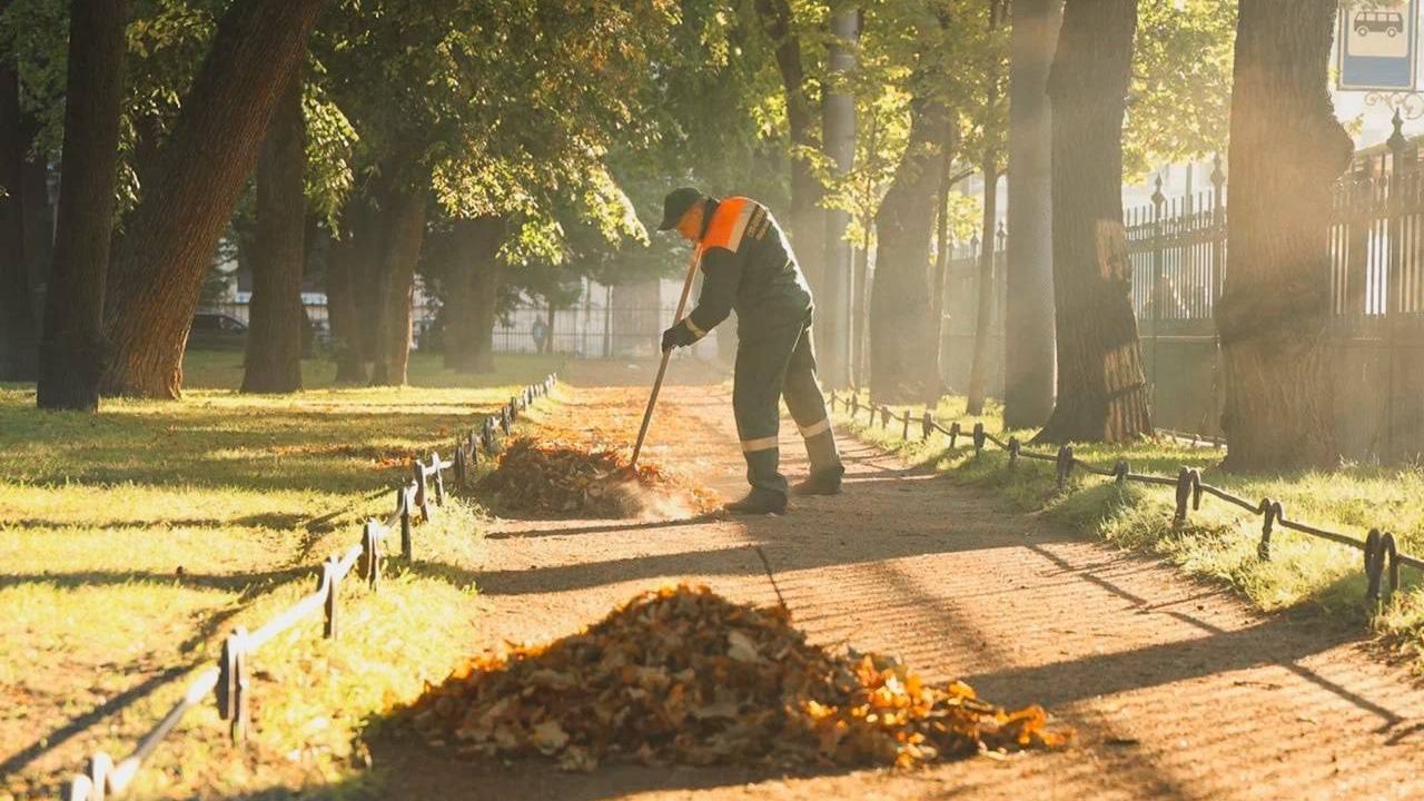 В Петербурге с началом октября началась масштабная уборка В Петербурге с началом октября началась масштабная уборка
