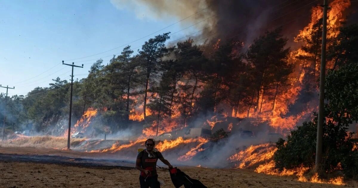 В&nbsp;соседних от&nbsp;Турции странах ситуация ничем не&nbsp;лучше.