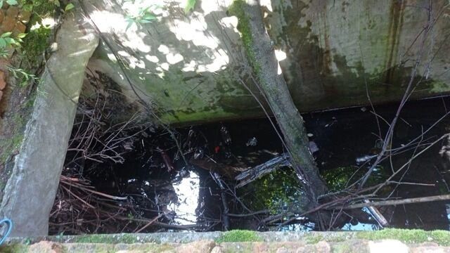 Яма, в&nbsp;которую провалился щенок, была затоплена