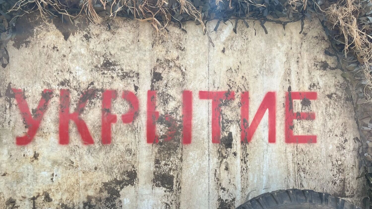 Что может предложить Путин Трампу на&nbsp;Аляске