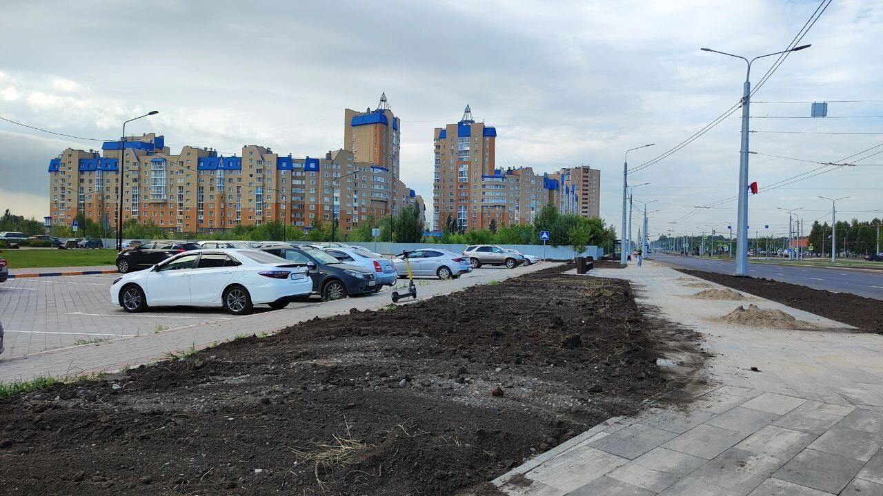 Неидеальный газон на бульваре Архитекторов
