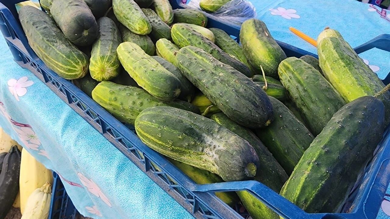 Что продают канадцы в Нижегородской области